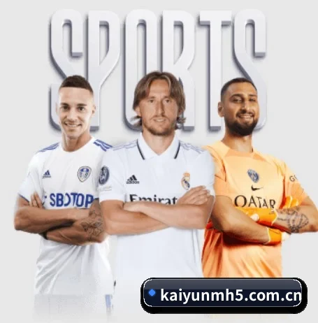 kaiyunmh5.com.cn APP 界面